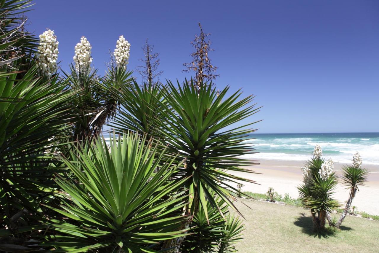 Haus Am Strand - On The Beach Wilderness Luaran gambar
